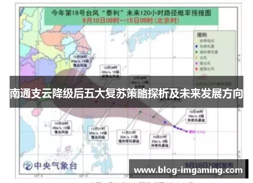 南通支云降级后五大复苏策略探析及未来发展方向